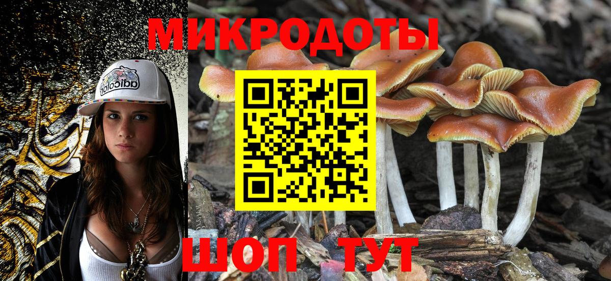 Зерноград  ГАШ  Меф МЯУ МЯУ кристаллы  Бошки Шишки  ГАШ  Вход с VPN  МЕФ  COCAIN  МДМА 