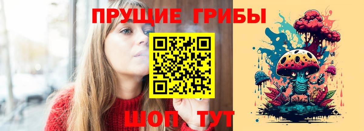 Псилоцибиновые грибы Cubensis Зерноград